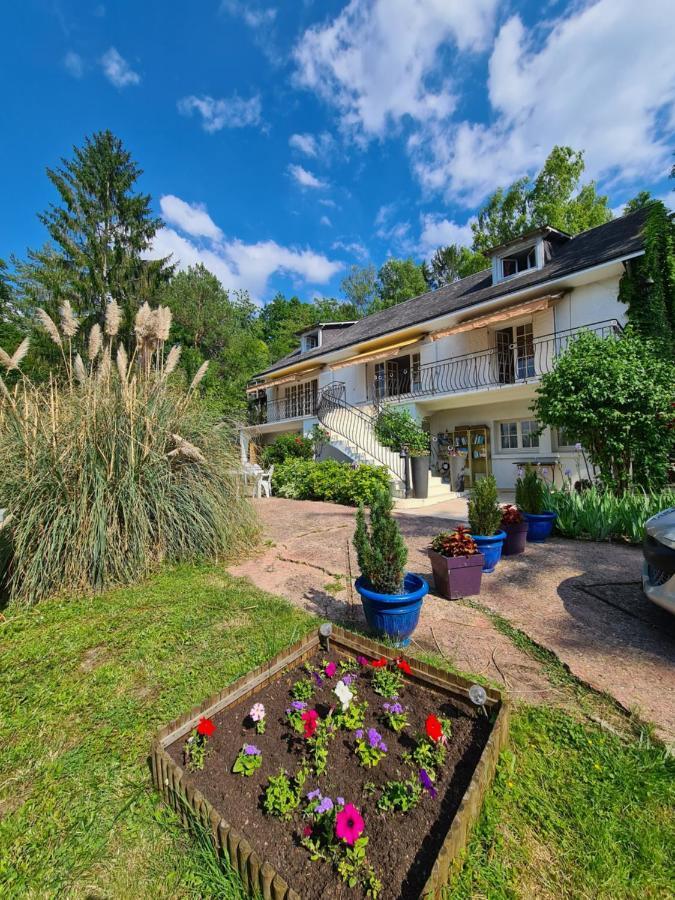 Les Iris * Monthou-sur-Cher