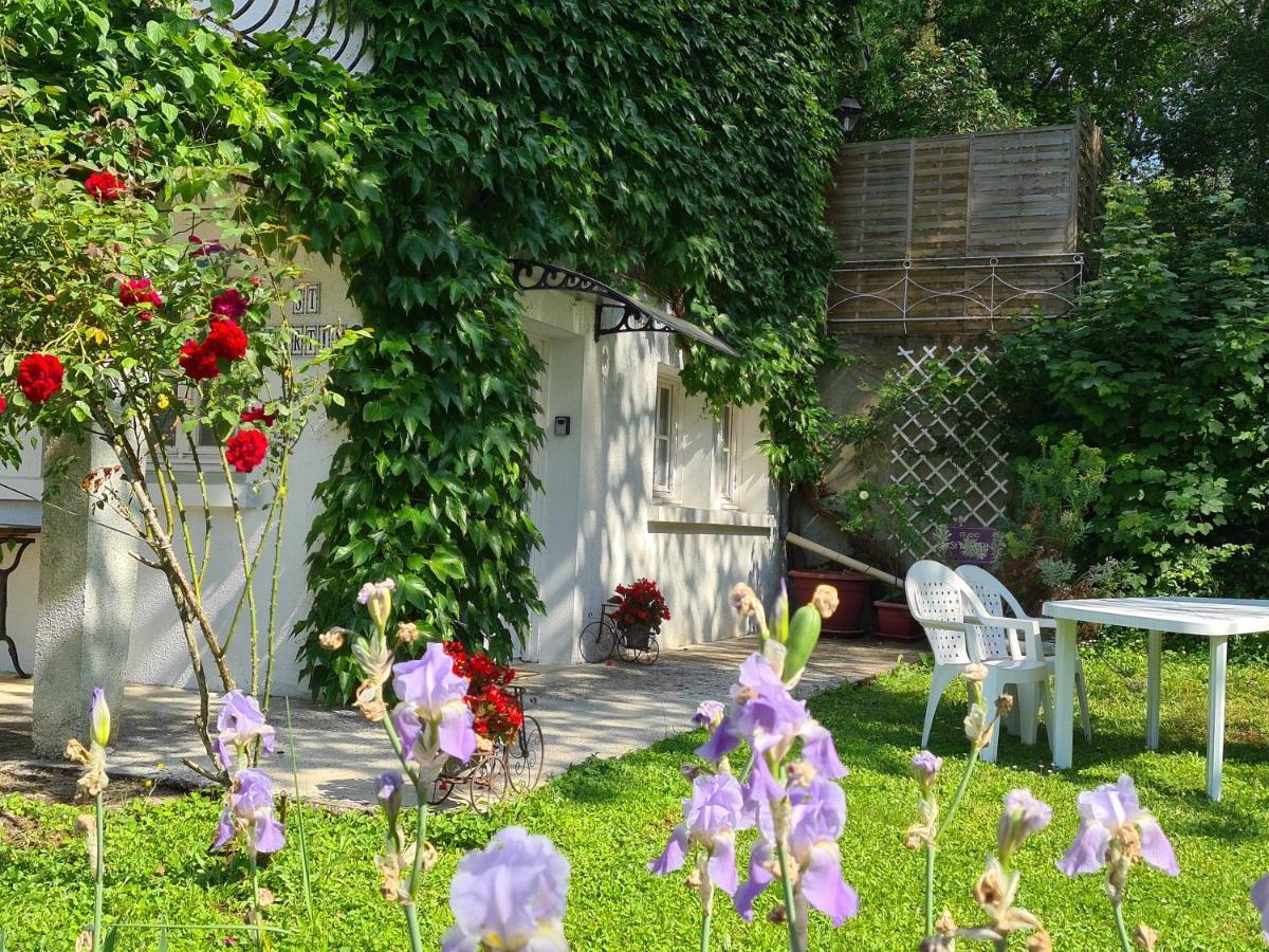 Les Iris Monthou-sur-Cher